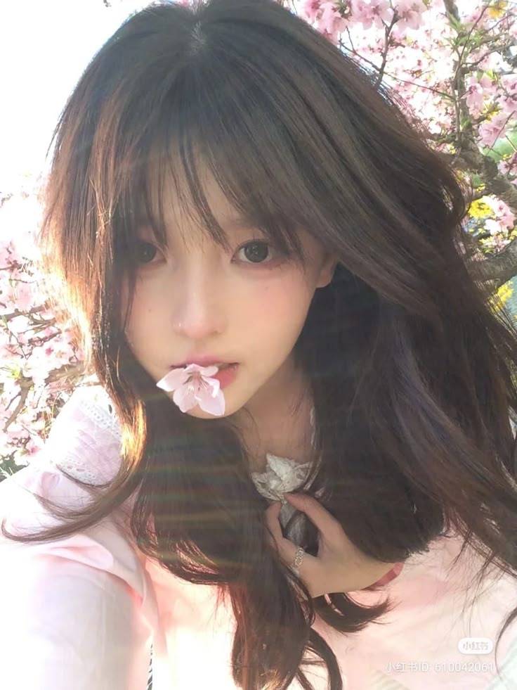 rapid 14 video video sedang viral full aksi update terbaru ultimate guide